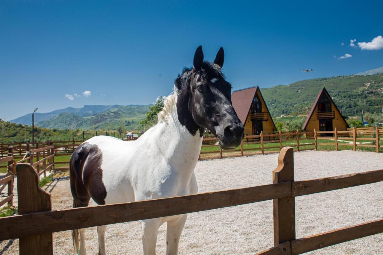 Sancho Farm Albania Βίλα Memaliaj Εξωτερικό φωτογραφία