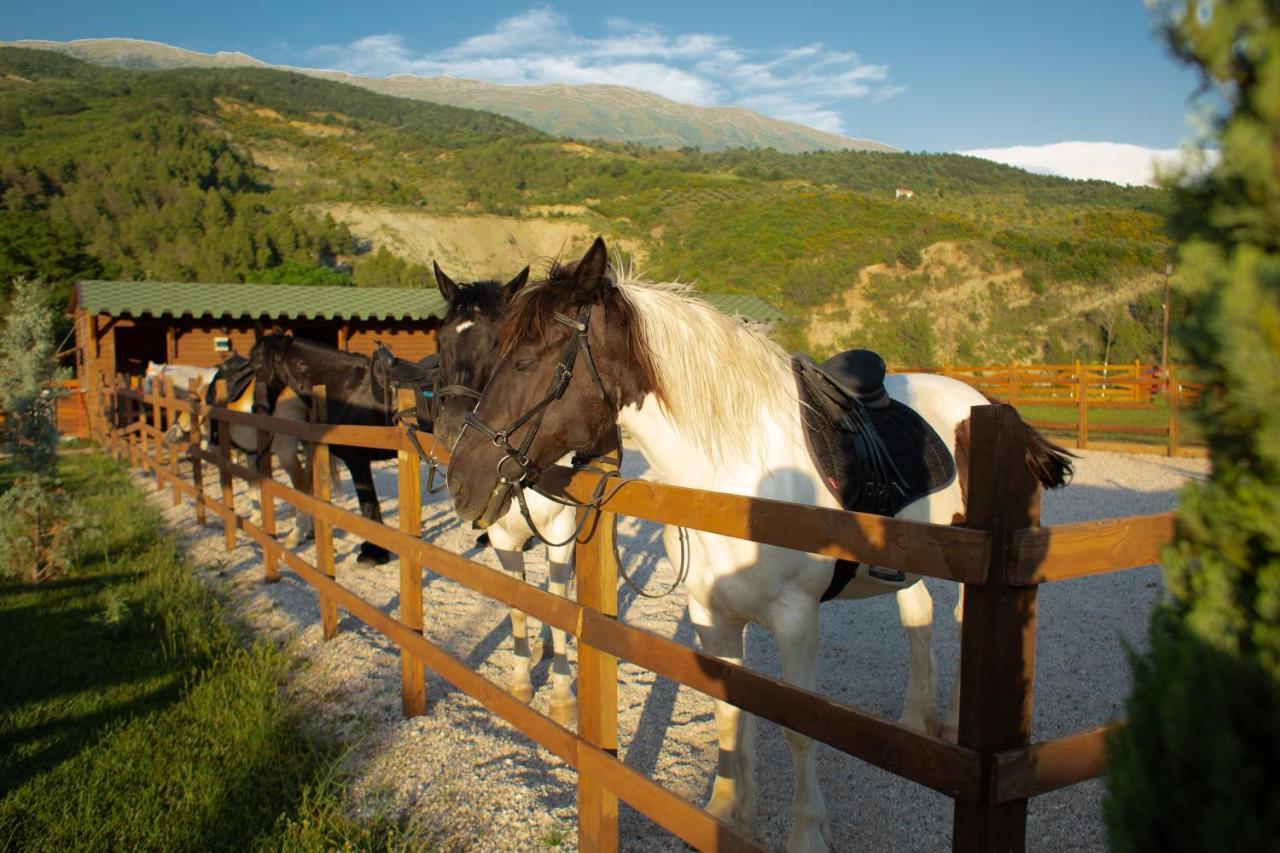 Sancho Farm Albania Βίλα Memaliaj Εξωτερικό φωτογραφία