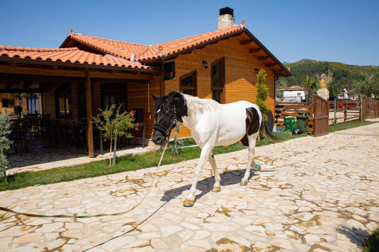 Sancho Farm Albania Βίλα Memaliaj Εξωτερικό φωτογραφία