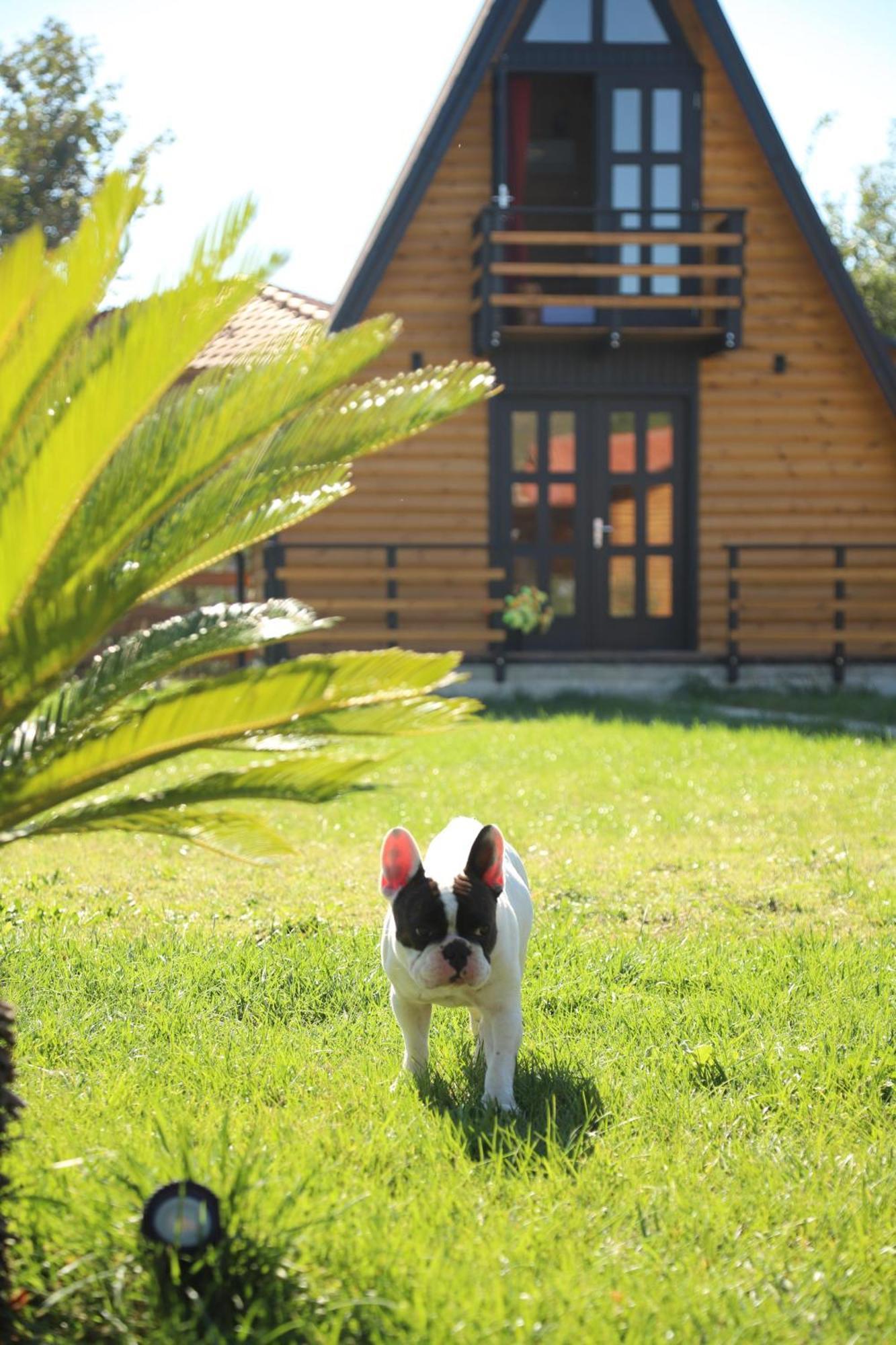 Sancho Farm Albania Βίλα Memaliaj Εξωτερικό φωτογραφία