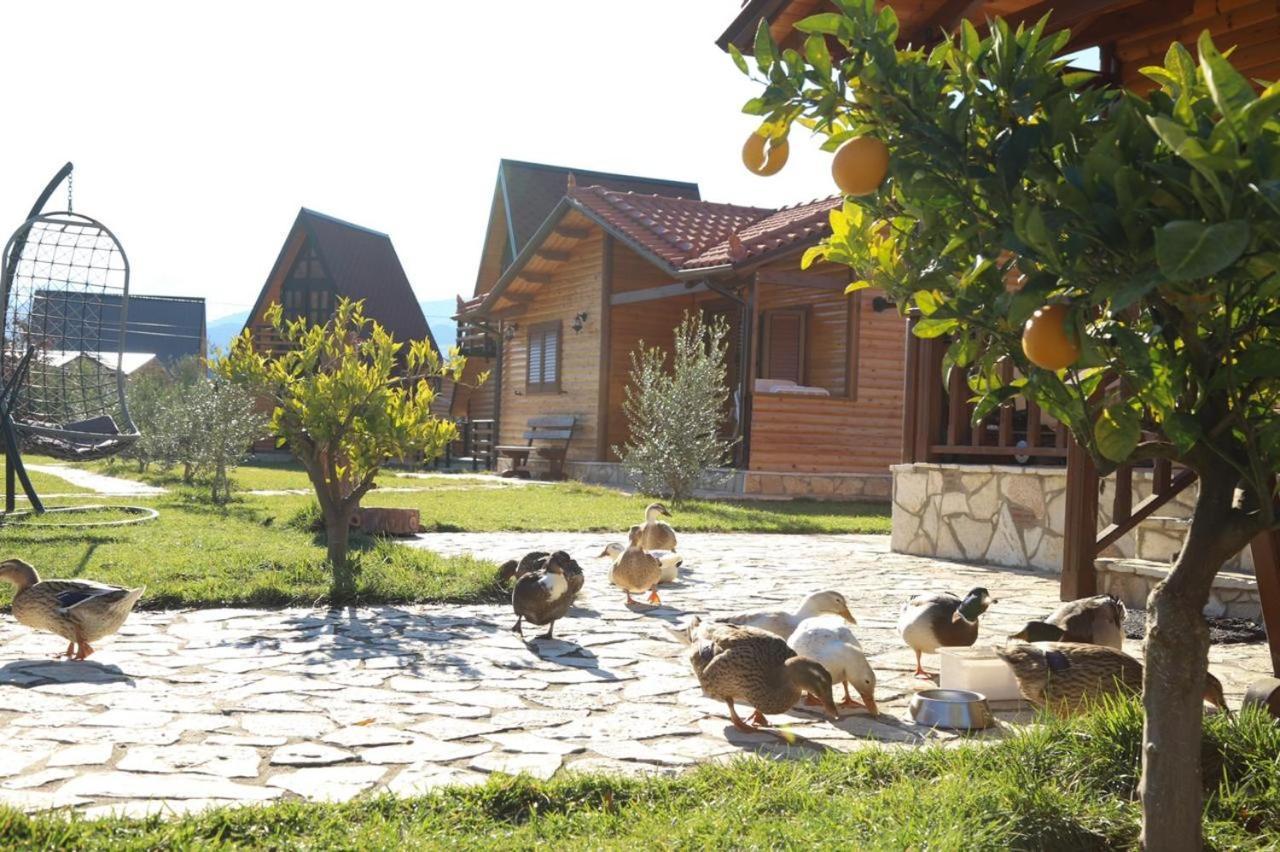 Sancho Farm Albania Βίλα Memaliaj Εξωτερικό φωτογραφία