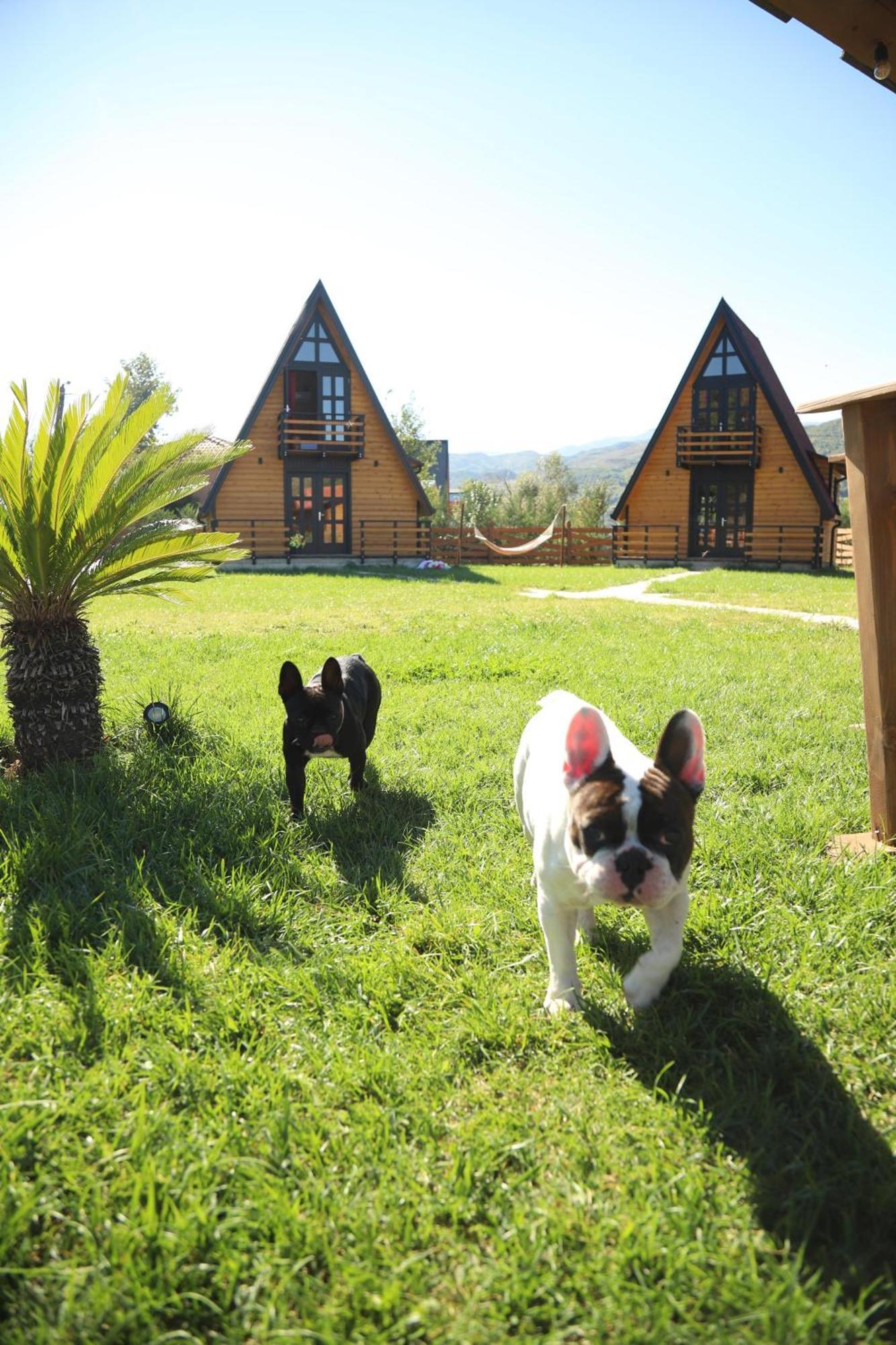 Sancho Farm Albania Βίλα Memaliaj Εξωτερικό φωτογραφία