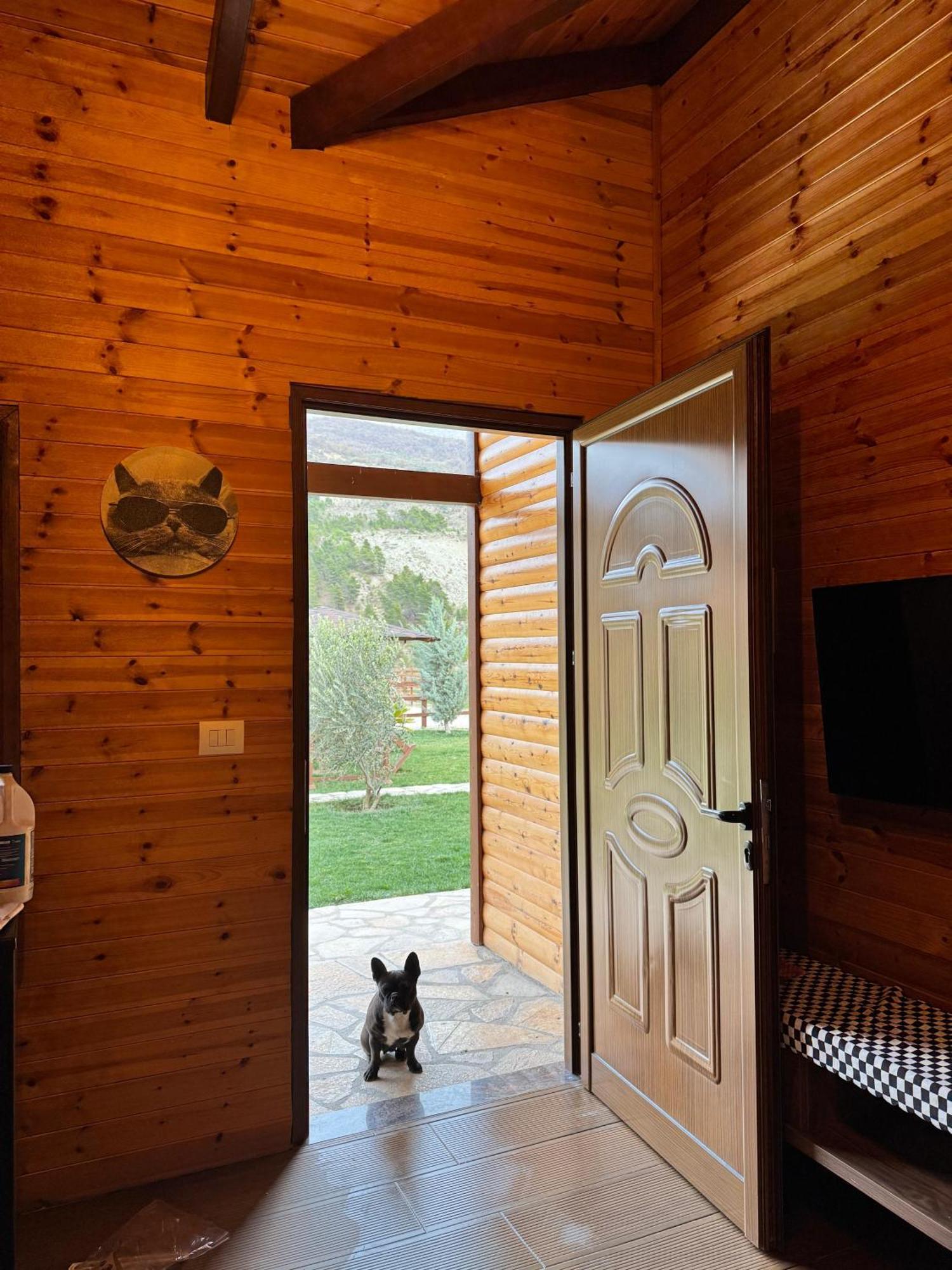 Sancho Farm Albania Βίλα Memaliaj Εξωτερικό φωτογραφία